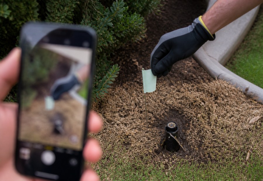 Imagen de Jardinería y mantenimiento exterior: situacion real antes del trabajo - Tipo de espacio: jardín particular, comunidad, empresa o finca